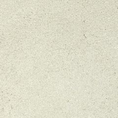 polar